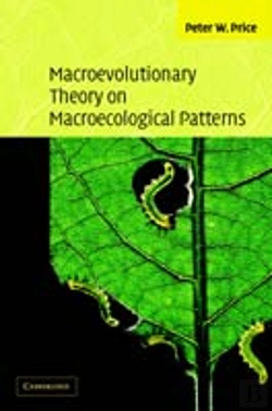 Bertrand.pt - Macroevolutionary Theory On Macroecological Patterns