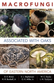 Macrofungi Associated With Oaks Of Eastern North America