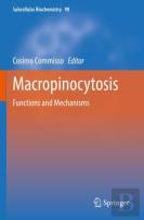 Macropinocytosis