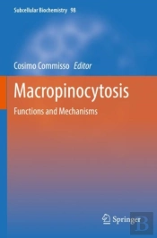 Macropinocytosis