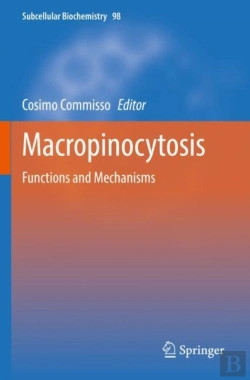 Bertrand.pt - Macropinocytosis