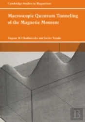 Macroscopic Quantum Tunneling Of The Magnetic Moment