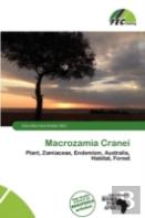 Macrozamia Cranei