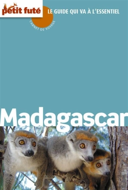 Bertrand.pt - Madagascar Carnet De Voyage 2013 Petit Fute