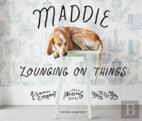 Maddie Lounging On Things