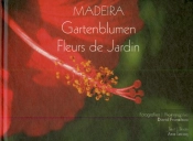 Madeira - Gartenblumen