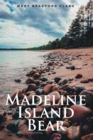 Madeline Island Bear