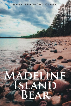 Bertrand.pt - Madeline Island Bear