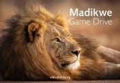 Madikwe Game Drive