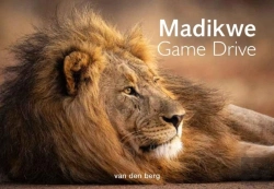 Bertrand.pt - Madikwe Game Drive