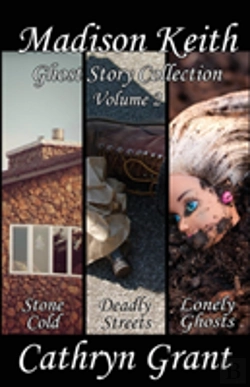 Bertrand.pt - Madison Keith Ghost Story Collection - Volume 2 (Suburban Noir Ghost Stories)