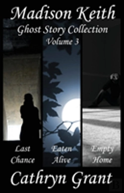 Bertrand.pt - Madison Keith Ghost Story Collection - Volume 3