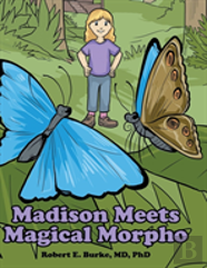 Madison Meets Magical Morpho