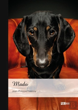 Bertrand.pt - Mado