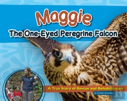 Bertrand.pt - Maggie The One-Eyed Peregrine Falcon