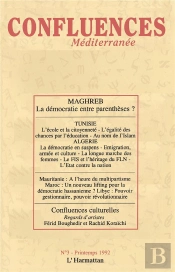 Maghreb La Democratie Entreparentheses?