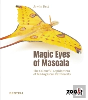 Magic Eyes Of Masoala