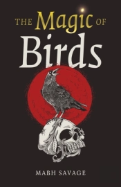 Magic Of Birds, The