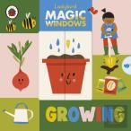 Magic Windows: Growing
