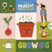 Magic Windows: Growing