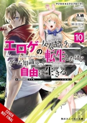 Magical Explorer, Vol. 10 (Light Novel)