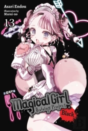 Magical Girl Raising Project, Vol. 13 (Light Novel)