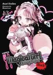 Magical Girl Raising Project, Vol. 13 (Light Novel)