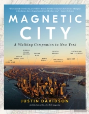 Magnetic City