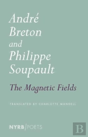 Magnetic Fields