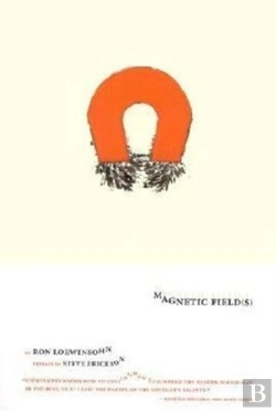 Bertrand.pt - Magnetic Field(S)