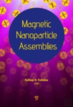 Bertrand.pt - Magnetic Nanoparticle Assemblies