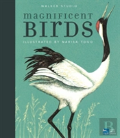 Magnificent Birds
