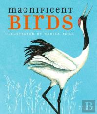 Magnificent Birds