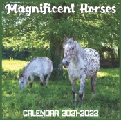 Magnificent Horses Calendar 2021-2022