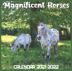 Bertrand.pt - Magnificent Horses Calendar 2021-2022