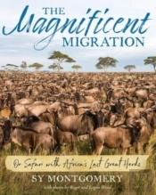 Magnificent Migration