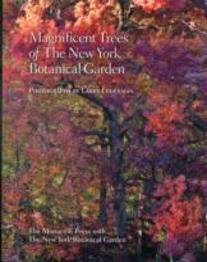 Magnificent Trees Of The New York Botanical Garden
