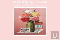 Magnolia