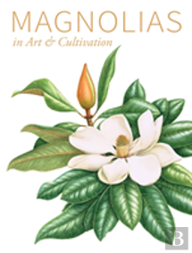 Magnolias