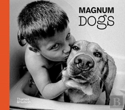 Bertrand.pt - Magnum Dogs
