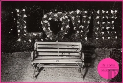 Bertrand.pt - Magnum Love