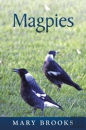 Magpies