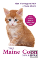 Maine Coon Cat