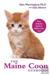 Maine Coon Cat