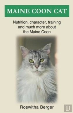 Bertrand.pt - Maine Coon Cat