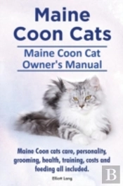Maine Coon Cats. Maine Coon Cat Owner'S