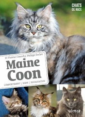 Maine Coon ; Comportements, Soins, Socialisation