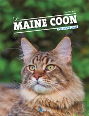 Maine Coon (Le)