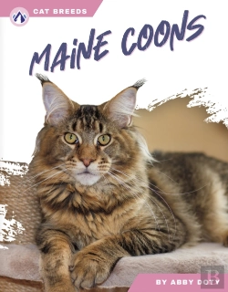 Bertrand.pt - Maine Coons