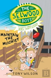 Maintain The Mischief (The Selwood Boys, #4)